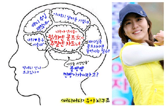 韓国のインターネットポータルサイトで、ガールズグループ「AFTERSCHOOL」（アフタースクール）のメンバ、ユイの脳構造が公開されて話題を呼んでいる。