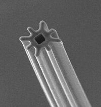 タコ足断面の軽量・多機能な高異型特殊断面繊維「オクタ」(画像提供:帝人ファイバー) タコ足断面の軽量・多機能な高異型特殊断面繊維「オクタ」(画像提供:帝人ファイバー)