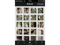 iPhoneアルバムアプリ「SuperAlbum」写真一覧(画像:Art&Mobile) iPhoneアルバムアプリ「SuperAlbum」写真一覧(画像:Art&Mobile)
