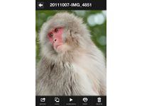 iPhoneアルバムアプリ「SuperAlbum」写真個別 (画像:Art&Mobile) iPhoneアルバムアプリ「SuperAlbum」写真個別 (画像:Art&Mobile)