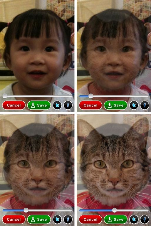 Iphoneアプリ オフラインでも利用可能 ２つの顔を合成することができるアプリ 顔モンタージュ 財経新聞