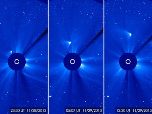 NASAが公開した画像。太陽の反対側から現れて遠ざかっていくアイソン彗星がとらえられている。Image Credit: ESA/NASA/SOHO/GSFC NASAが公開した画像。太陽の反対側から現れて遠ざかっていくアイソン彗星がとらえられている。Image Credit: ESA/NASA/SOHO/GSFC