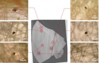 2012年2月19日に実際に被験者が着用したマスクとマスクに付着した放射性セシウム源のイメージングプレート像との合成像と、その部分の拡大写真。各写真の右下の白線は50マイクロメートルの大きさを表す。（東京大学の発表資料より）