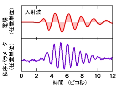 超伝導NbN薄膜試料に入射したテラヘルツ波電場パルスの時間波形と、このパルス照射中に秩序パラメータが振動していることを示す実験結果。テラヘルツ電場が中心周波数0.6THz（テラヘルツ）で振動しているのに対し、秩序パラメータはヒッグス・モードとの共鳴により、その倍の1.2THzで大きく振動する。（研究の発表資料より）