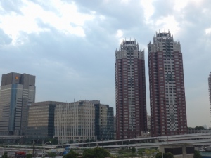 東京都港区台場。埋め立て地は砂質土層であるため液状化が起こりやすいと指摘されている。液状化は地震によって引き起こされ、一度液状化した地盤は再液状化する可能性が高い。しかし既存の建造物に対する液状化対策は進んでいない。 東京都港区台場。埋め立て地は砂質土層であるため液状化が起こりやすいと指摘されている。液状化は地震によって引き起こされ、一度液状化した地盤は再液状化する可能性が高い。しかし既存の建造物に対する液状化対策は進んでいない。