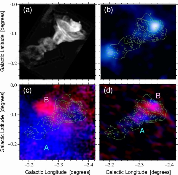 (a)トルネードの1.58 GHz 電波写真（Brogan & Goss 2003, AJ, 125, 272 より作成）。(b) 1.58 GHz電波強度を表す等高線に2-5 keV のX 線イメージを重ねたもの。(c) 1.58 GHz 電波強度の等高線に一酸化炭素(CO)スペクトル線強度分布を重ねたもの。視線速度0 km/秒から+15 km/秒の成分を赤で、-17 km/秒から0 km/秒の成分を青で表示している。(d) 1.58 GHz 電波強度の等高線にヒドロキシルラジカル(OH)1720 MHz スペクトル線強度分布を重ねたもの。視線速度の色表示は (c)と同じ。（慶應義塾大学の発表資料より）