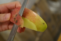 オイシックスは、ワケありの青森県産のりんごを、「おいしさ白星りんご」として、正規品より30%程度価格を抑えて販売開始した。