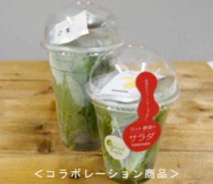 ケンコーマヨネーズ<2915>(東1)は、東芝の植物工場「東芝クリーンルームファーム横須賀」で生産した野菜に同社製の粉末ドレッシングを添付したコラボレーション商品を・・・。 ケンコーマヨネーズ<2915>(東1)は、東芝の植物工場「東芝クリーンルームファーム横須賀」で生産した野菜に同社製の粉末ドレッシングを添付したコラボレーション商品を・・・。