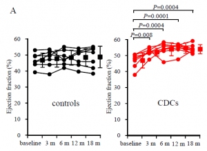 細胞治療法による心機能の長期追跡調査結果を示す図。細胞移植併用群(右)は標準外科手術単独群(左)に比べ、移植後3~18ヶ月目(横軸)まで長期的に良好な心室駆出率(縦軸)を示した(岡山大学の発表資料より) 細胞治療法による心機能の長期追跡調査結果を示す図。細胞移植併用群(右)は標準外科手術単独群(左)に比べ、移植後3~18ヶ月目(横軸)まで長期的に良好な心室駆出率(縦軸)を示した(岡山大学の発表資料より)