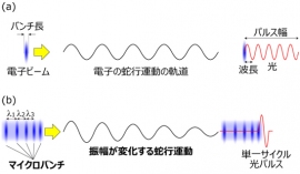 波長よりバンチ長が短い電子ビームからの光の放射と、マイクロバンチがある規則に従って並んだ電子ビームからの光の放射の比較を示す図（理化学研究所の発表資料より）
