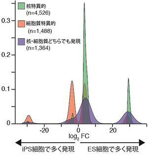 ES細胞とiPS細胞で発現するRNAの比較を示す図（理化学研究所の発表資料より）