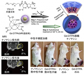 Gd-DTPA錯体を搭載したナノマシンによる固形がんのMRI（左下）と中性子捕捉治療（右下）（東京工業大学の発表資料より）