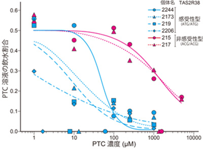 TAS2R38遺伝子型の違いとPTC苦味溶液に対する反応（京都大学の発表資料より）
