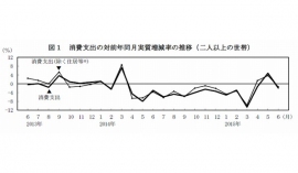 消費支出の対前年同月実質増減率の推移(二人以上の世帯)を示す図(総務省の発表資料より) 消費支出の対前年同月実質増減率の推移(二人以上の世帯)を示す図(総務省の発表資料より)