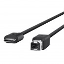 USB 2.0 Type-C to B(ベルキン発表資料より) USB 2.0 Type-C to B(ベルキン発表資料より)