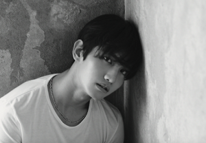 アイドルグループSUPER JUNIORのメンバー、ウニョク(29)とドンヘ(29)が今年10月に入隊することになった。 アイドルグループSUPER JUNIORのメンバー、ウニョク(29)とドンヘ(29)が今年10月に入隊することになった。