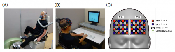 実験の様子。A：漸増運動負荷試験の様子。B：ストループテスト中の様子。C：光トポグラフィを前額部につけた時の測定チャンネル。緑丸で囲んであるチャンネルが前頭前野背外側部の活動を測定しているチャンネルであり、今回はこれらのチャンネルから得られたデータを、左右の半球毎に統合して解析に用いた。（写真：筑波大学の発表資料より）