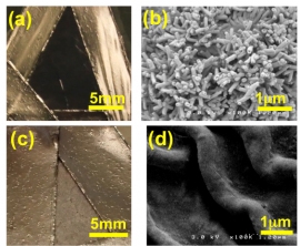 （a）ハスの葉を30nm厚の金で被覆したメタマテリアル　（b）ハスの葉の電子顕微鏡写真　（c）ドクダミの葉を30nm厚の金で被覆した試料　（d）ドクダミの葉の電子顕微鏡写真（東京工業大学の発表資料より）