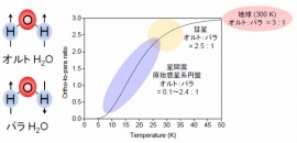 （左）オルトH2OパラH2O分子の模式図。（右）50 K以下の低温では、パラH2Oの方がオルトH2Oよりも安定になり、オルト：パラ比は高温状態（オルト：パラ＝3：1）から変化し、パラH2Oの存在量が増える。（北海道大学の発表資料より）