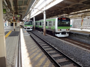 2020年の東京五輪が迫る中、首都圏の鉄道各社が訪日外国人への対応を急いでいる。多言語の強化を進め、山手線「E235系」や東京メトロ「13000系」、東武鉄道「70000系」といった新型車両の活躍にも期待したい。