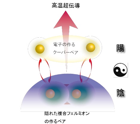 高温超伝導メカニズムのイメージ図。銅酸化物中の電子は周囲の状況（近くに他の電子がいるかいないか）に応じて、同じ電子があたかも異なる粒子のように振る舞う。一つは結晶中を動き回る準粒子とよばれる状態で、電子が他の電子の作る“薄着”の衣をまとった状態といえる。もう一つが今回の研究で見出された隠れた複合フェルミオン状態であり、電子が“厚着”をして他の電子の創り出す落とし穴に捕われるために、もとの電子とは異なる性格を持つ。複合フェルミオンは宇宙のダークマターのように、今ある実験手段ではよく見えない、捕われて隠れた存在である。（東京大学の発表資料より）