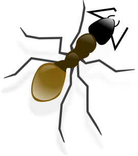 北海道大学の長谷川英祐准教授らによる研究グループは、働かないアリがコロニーの長期的存続に欠かせないことを明らかにした。