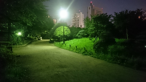 19時ごろの隅田公園（東側）の園内は人気が少なく、ひっそりとしていました。暗い場所もあるので女性が一人で歩くのは抵抗があるかもしれません。