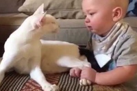 赤ちゃんはこのネコちゃんがとにかく大好きなんです！！
