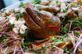 海のギャンといわれるうつぼのたたき※当日提供する料理とは限りません(Holiday Jack報道資料より) 海のギャンといわれるうつぼのたたき※当日提供する料理とは限りません(Holiday Jack報道資料より)