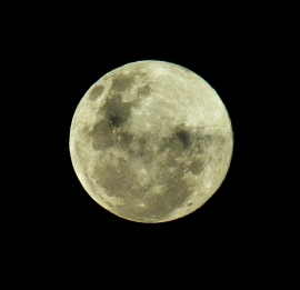 月の直径は地球の4分の1程度、質量は80分の1程度である。（写真：Dwayne Madden／flickr）