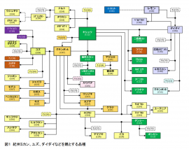 紀州ミカン、ユズ、ダイダイなどを親とする品種の系統図。（図：京都大学発表資料より）