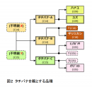 タチバナを親とする品種の系統図。（図：京都大学発表資料より）
