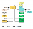 スイートオレンジを親とする品種の系統図。（図：京都大学発表資料より）