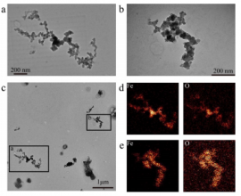 aとbは航空機により採取された黒色酸化鉄粒子電子顕微画像。cはaとbの距離を示す。dとeはaとbの鉄・酸素元素濃度の分布を示す。（図：東京大学発表資料より）