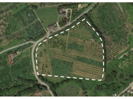 北海道余市郡余市町梅川町のアサヒビールのワイン向けぶどう農園として取得した土地の航空写真。2023年にワインが初出荷となる。醸造所などについては未発表 北海道余市郡余市町梅川町のアサヒビールのワイン向けぶどう農園として取得した土地の航空写真。2023年にワインが初出荷となる。醸造所などについては未発表
