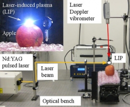 LIP衝撃波による青果物の品質評価システム(芝浦工業大学の発表資料より) LIP衝撃波による青果物の品質評価システム(芝浦工業大学の発表資料より)