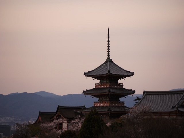 京都市の調べで2016年の京都の違法民泊宿泊者数が修学旅行生並みの約110万人と判明、違法民泊物件の利用者が想像以上に多い実態が明らかとなった。