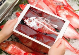 「スケルギョン」の使用イメージ。(写真: 博報堂アイ・スタジオの発表資料より) 「スケルギョン」の使用イメージ。(写真: 博報堂アイ・スタジオの発表資料より)