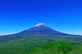 富士山麓に広がる青木ヶ原樹海。