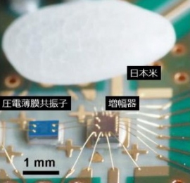 圧電薄膜共振子を用いた発信器の写真。(画像:情報通信研究機構発表資料より) 圧電薄膜共振子を用いた発信器の写真。(画像:情報通信研究機構発表資料より)