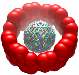 分子ベアリングの結晶構造（図：東大の発表資料より）