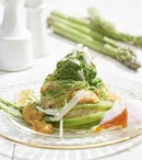 「スノーアイスパスタ」 「スノーアイスパスタ」