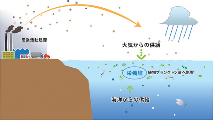 大気汚染物質PM2.5が海洋に栄養をもたらす、JAMSTECの研究 財経新聞