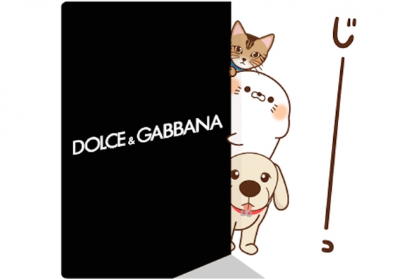 ドルチェ＆ガッバーナが期間限定LINEスタンプ デザイナーの愛犬＆愛猫