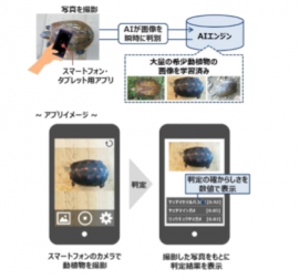 密猟対策アプリのイメージ。写真を撮るだけで希少種か確認できる（図：NTTドコモの発表資料）