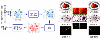 ゲノム情報等の非画像データを画像化する方法（左）と実例（右）（写真：理研の発表資料より）