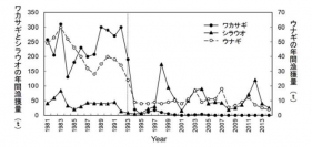 島根県宍道湖の年間漁獲量の推移。縦の点線で示した1993年にネオニコチノイド系殺虫剤が初めて使用された。（画像:東京大学発表資料より）