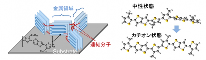 導電性高分子の薄膜の模式図（左）と最適な発電性能をもつ分子状態（右）（写真：名古屋大学の発表資料より）