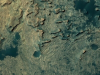 sol-1448でキュリオシティが捉えた画像（スコット・ワーリング氏によればエイリアントカゲが写っているという）　出典：NASA