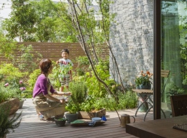 積水ハウスの「5本の樹・野鳥ケータイ図鑑」では、形や色などから樹木や鳥・蝶の検索ができる 積水ハウスの「5本の樹・野鳥ケータイ図鑑」では、形や色などから樹木や鳥・蝶の検索ができる